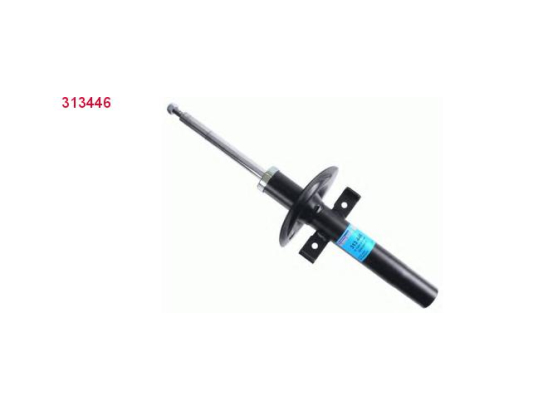 Amort. Av Sachs 313446