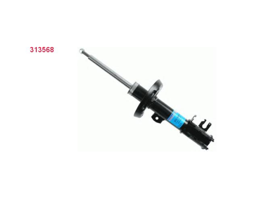 Amort. Av D Sachs 313568