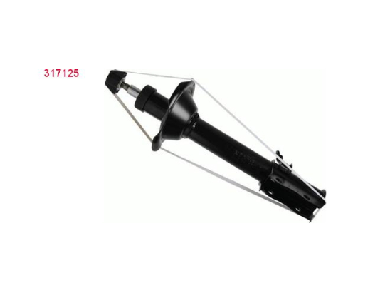 Amort. Ar G Sachs 317125