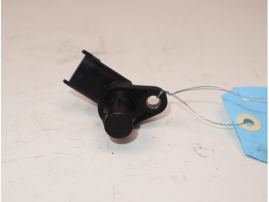 CAPTEUR ARBRE Ã€ CAMES