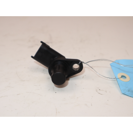 CAPTEUR ARBRE Ã€ CAMES