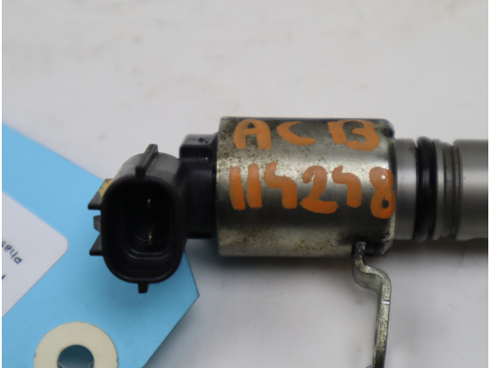 CAPTEUR ARBRE Ã€ CAMES