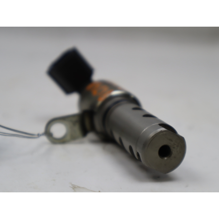 CAPTEUR ARBRE Ã€ CAMES