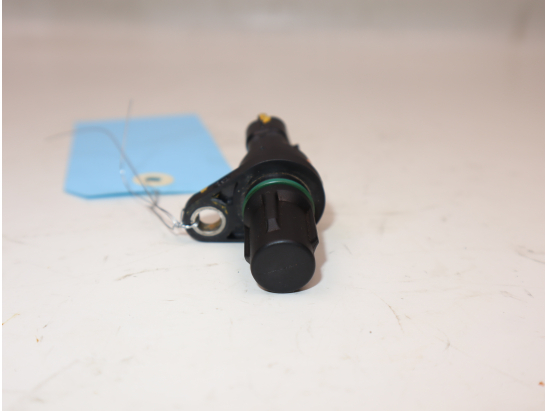 CAPTEUR ARBRE Ã€ CAMES