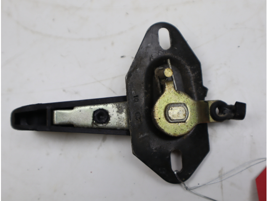 POIGNEE INT PORTE AVG