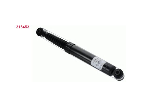 Amort. Ar Sachs 315453