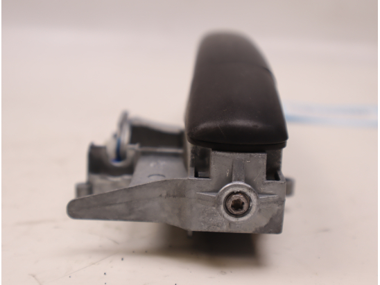 POIGNEE EXT PORTE ARG