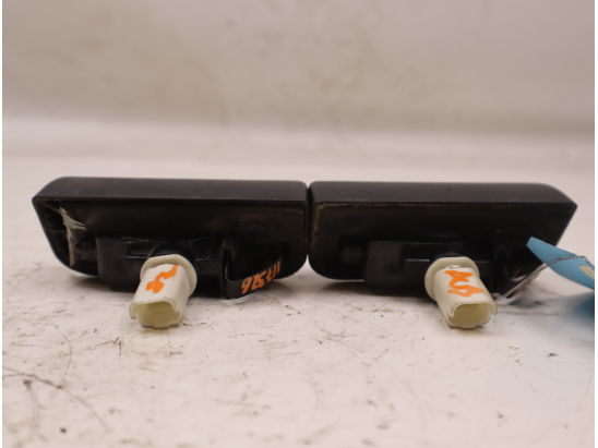 ECLAIREUR PLAQUE DE POLICE