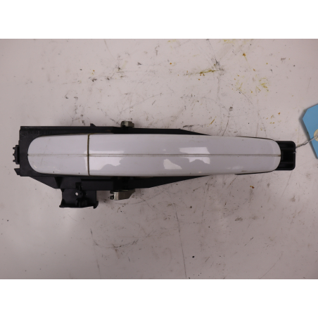 POIGNEE EXT PORTE ARG