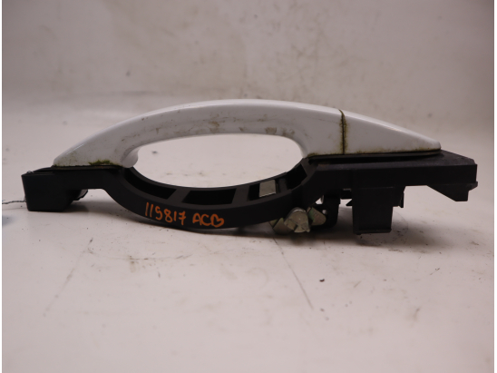 POIGNEE EXT PORTE ARG