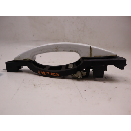 POIGNEE EXT PORTE ARG