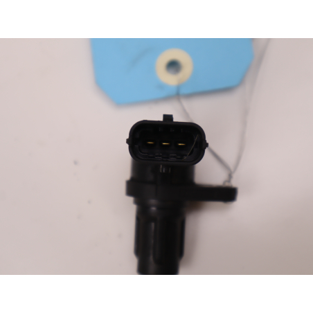 CAPTEUR ARBRE Ã€ CAMES