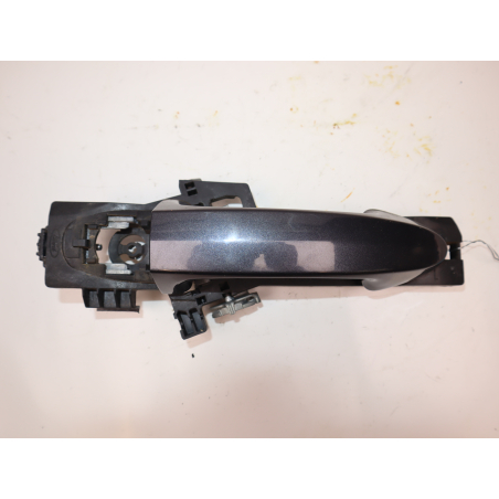 POIGNEE EXT PORTE ARG