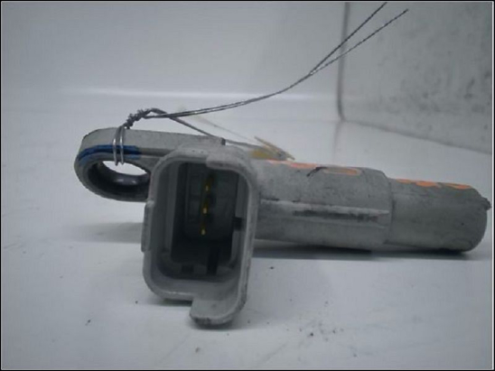 CAPTEUR ARBRE Ã€ CAMES