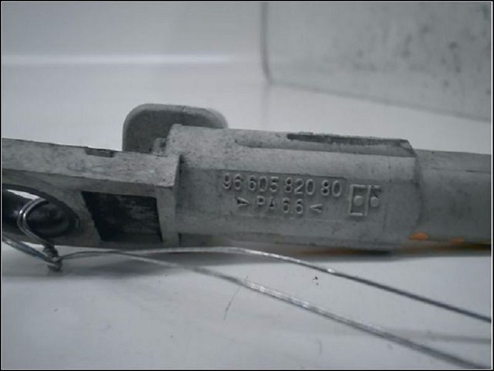 CAPTEUR ARBRE Ã€ CAMES