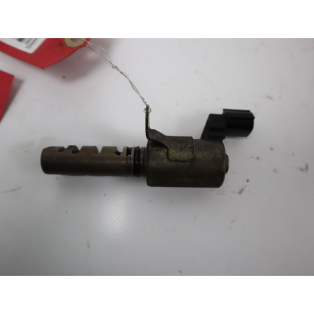 CAPTEUR ARBRE Ã€ CAMES