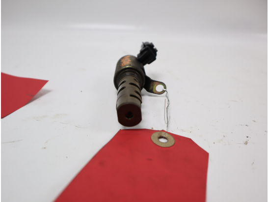 CAPTEUR ARBRE Ã€ CAMES