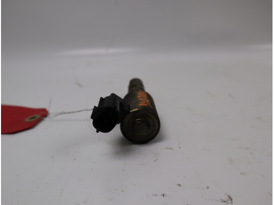 CAPTEUR ARBRE Ã€ CAMES