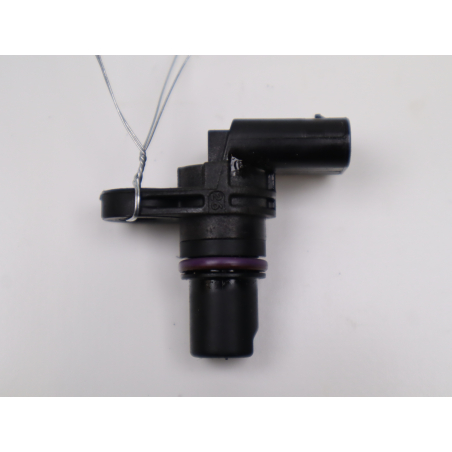 CAPTEUR ARBRE Ã€ CAMES