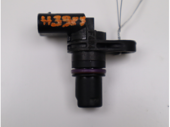 CAPTEUR ARBRE Ã€ CAMES