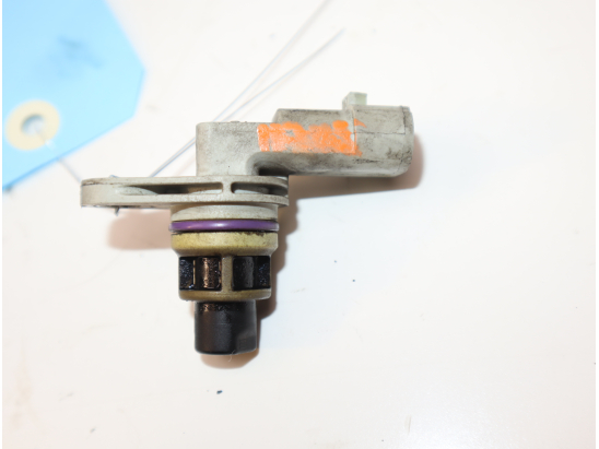 CAPTEUR ARBRE Ã€ CAMES