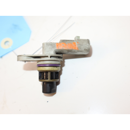 CAPTEUR ARBRE Ã€ CAMES