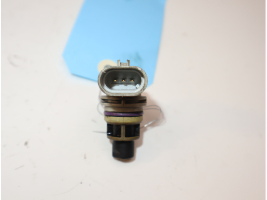 CAPTEUR ARBRE Ã€ CAMES