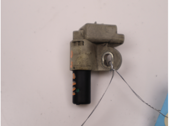 CAPTEUR ARBRE Ã€ CAMES