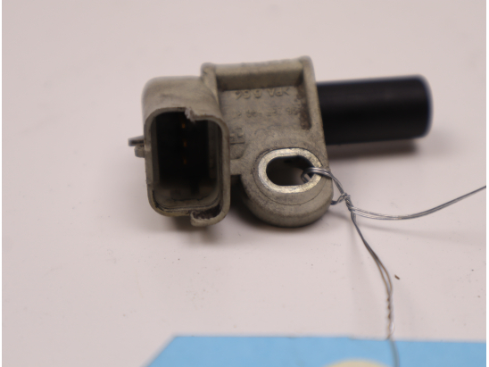 CAPTEUR ARBRE Ã€ CAMES