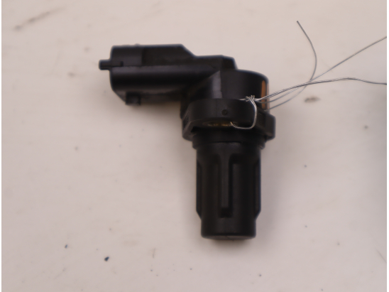 CAPTEUR ARBRE Ã€ CAMES