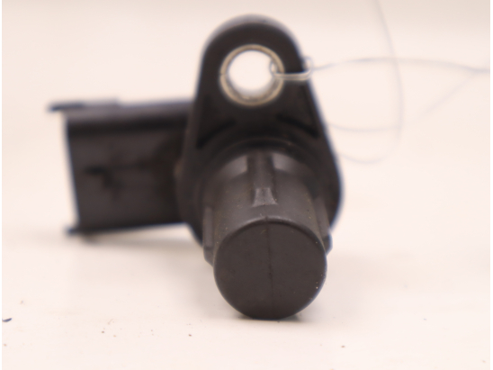 CAPTEUR ARBRE Ã€ CAMES