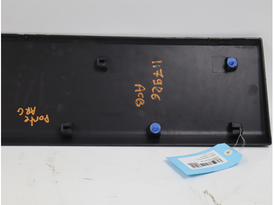 PROTECTION PORTE ARG