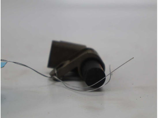 CAPTEUR ARBRE Ã€ CAMES