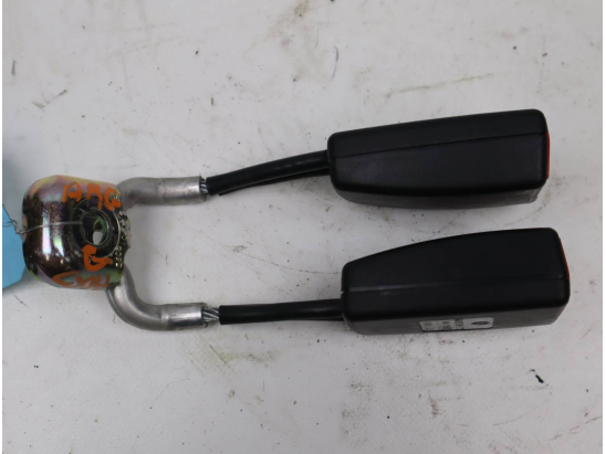 ANCRAGE CEINTURE ARG