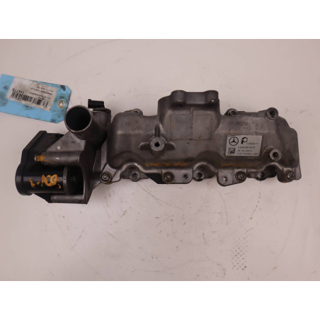 COLLECTEUR ADMISSION