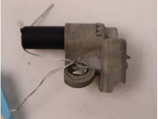 CAPTEUR ARBRE Ã€ CAMES