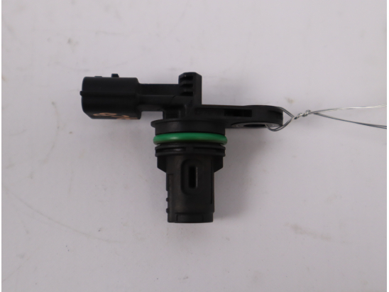 CAPTEUR ARBRE Ã€ CAMES