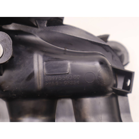 COLLECTEUR ADMISSION