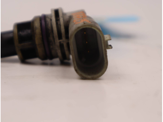 CAPTEUR ARBRE Ã€ CAMES