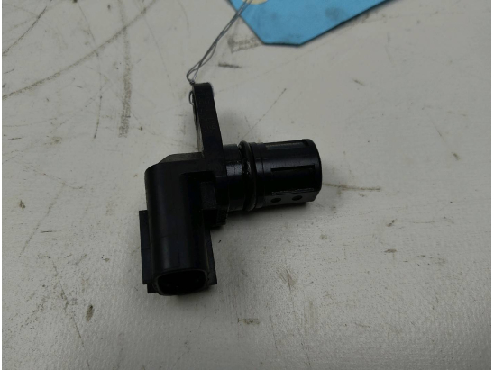 CAPTEUR ARBRE Ã€ CAMES