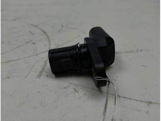 CAPTEUR ARBRE Ã€ CAMES