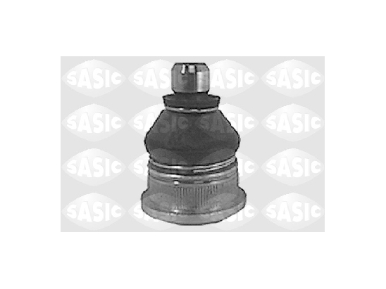 Rotule inférieure Sasic...