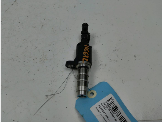 CAPTEUR ARBRE Ã€ CAMES