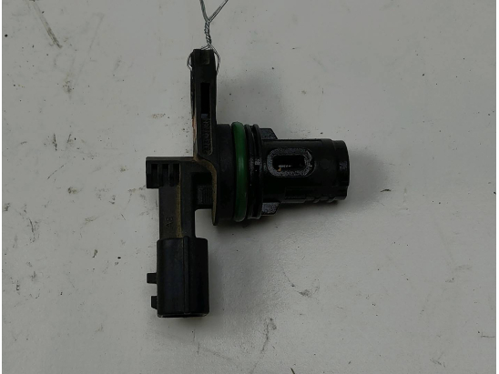 CAPTEUR ARBRE Ã€ CAMES