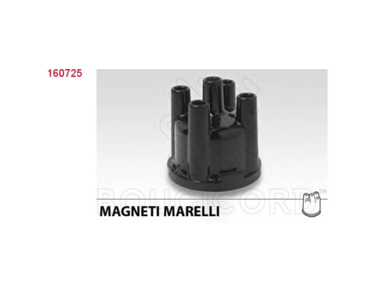 Tête All. Efi Bougicord 160725