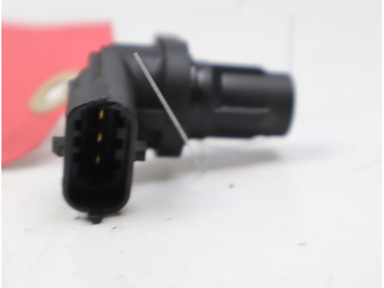 CAPTEUR ARBRE Ã€ CAMES