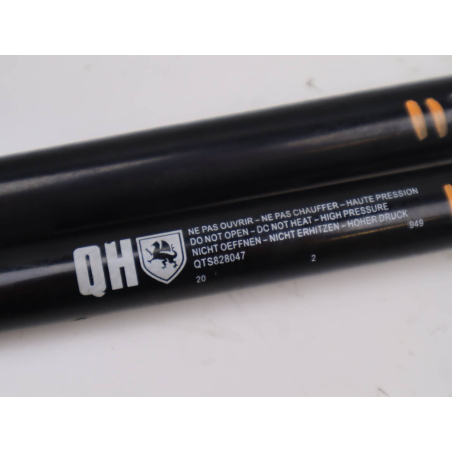 Verins hayon occasion HONDA CIVIC VII Phase 1 - 1.8i 140ch