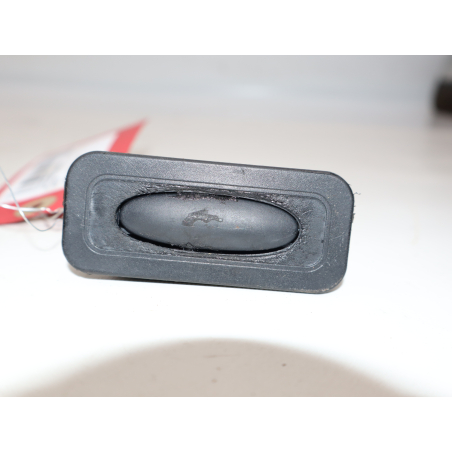 ACTIONNEUR SERRURE HAYON