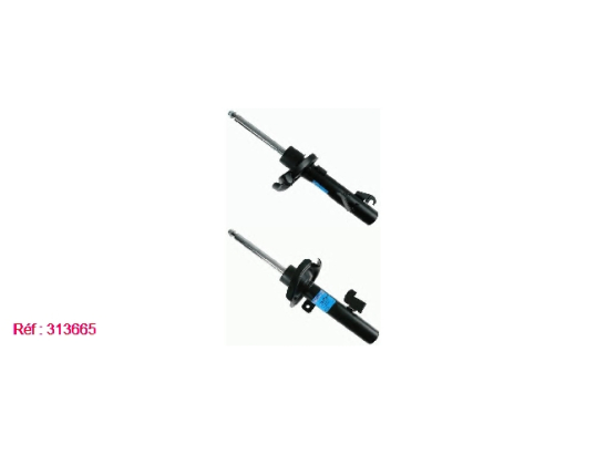 Amort. Av D Sachs 313665