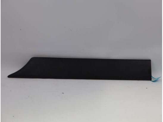 PROTECTION PORTE ARG